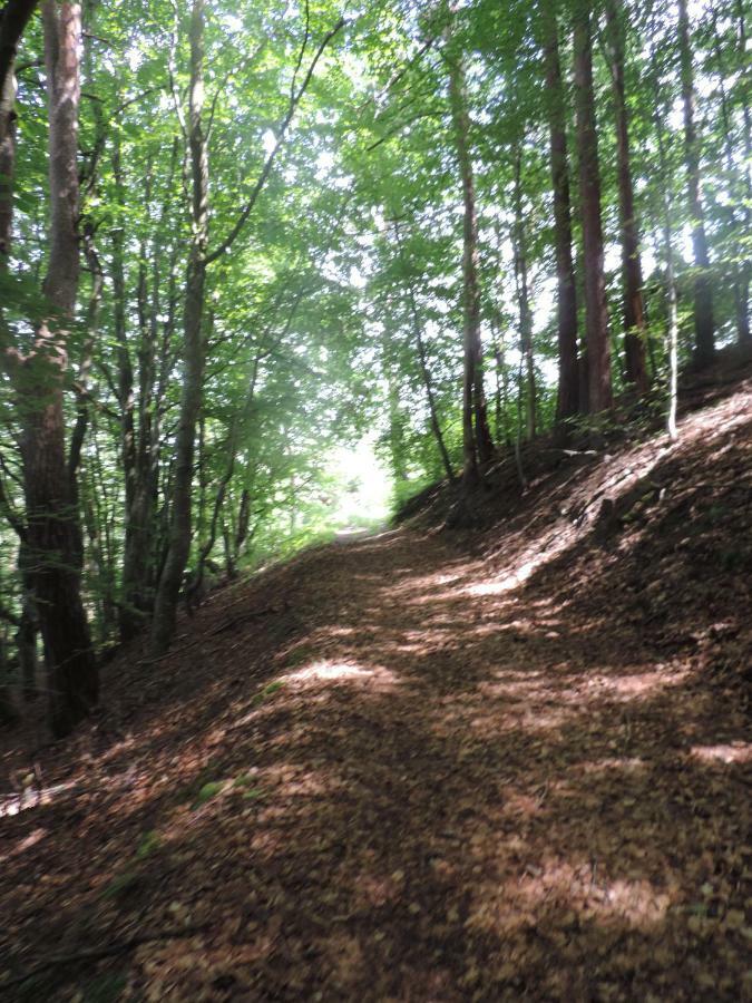 Se Reconnecter A La Nature Au Gite 3 Etoiles De Montager A Saint Andre De Chalencon Buitenkant foto
